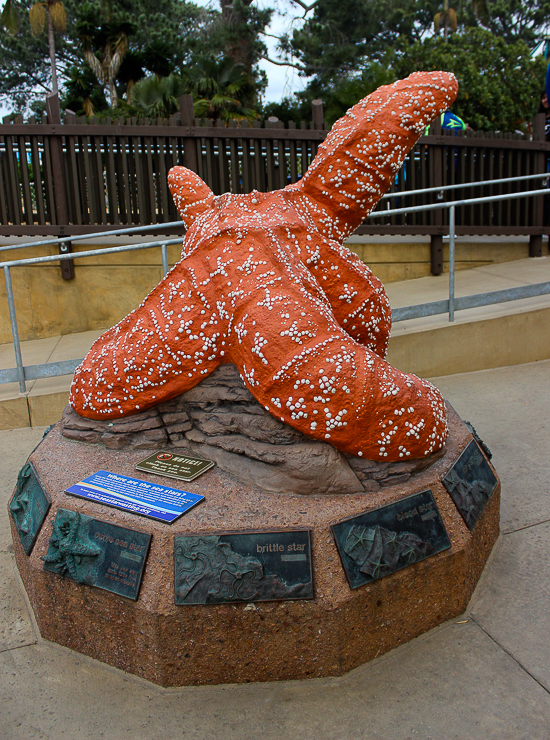 SeaWorld San Diego, San Diego, California
