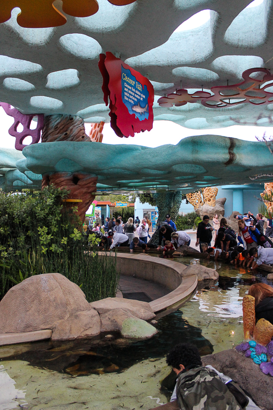 SeaWorld San Diego, San Diego, California