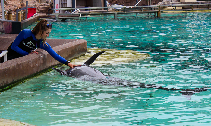SeaWorld San Diego, San Diego, California