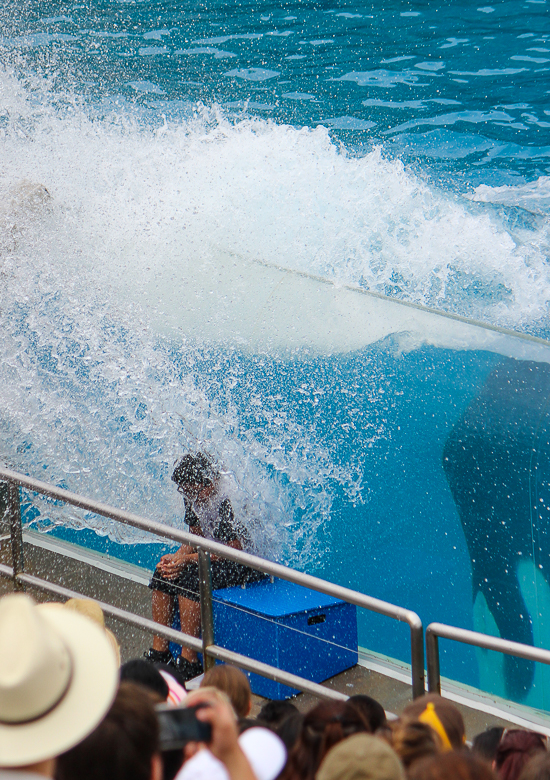 The Orca Encounter at SeaWorld San Diego, San Diego, California