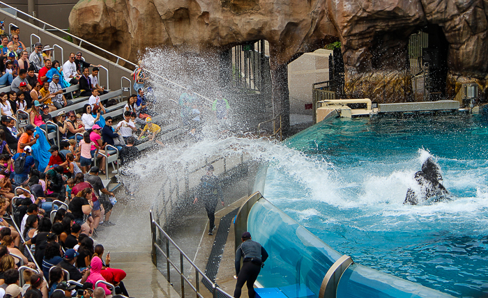 The Orca Encounter at SeaWorld San Diego, San Diego, California