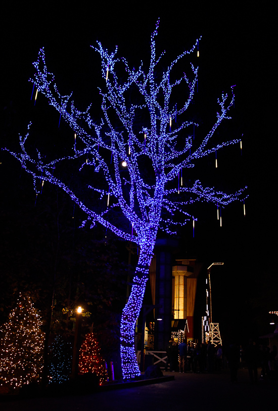 The American Coaster Enthusiasts Coaster Christmas event at Silver Dollar City, Branson, Missouri