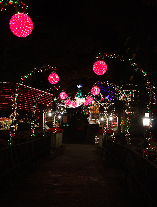 The American Coaster Enthusiasts Coaster Christmas event at Silver Dollar City, Branson, Missouri