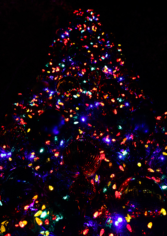 The American Coaster Enthusiasts Coaster Christmas event at Silver Dollar City, Branson, Missouri