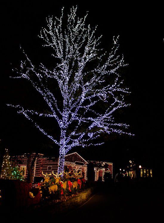 The American Coaster Enthusiasts Coaster Christmas event at Silver Dollar City, Branson, Missouri