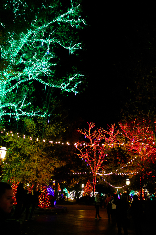 The American Coaster Enthusiasts Coaster Christmas event at Silver Dollar City, Branson, Missouri