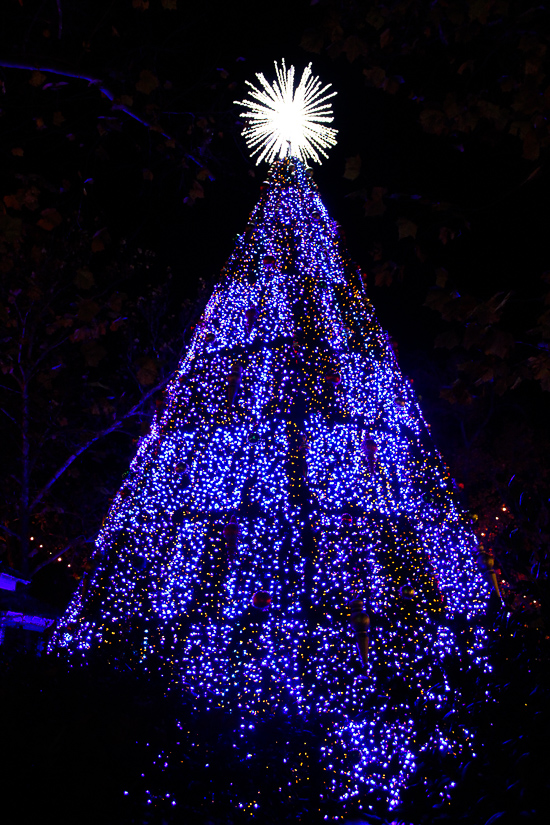 The American Coaster Enthusiasts Coaster Christmas event at Silver Dollar City, Branson, Missouri