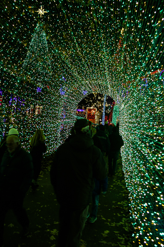 The American Coaster Enthusiasts Coaster Christmas event at Silver Dollar City, Branson, Missouri