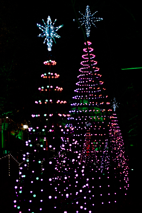 The American Coaster Enthusiasts Coaster Christmas event at Silver Dollar City, Branson, Missouri