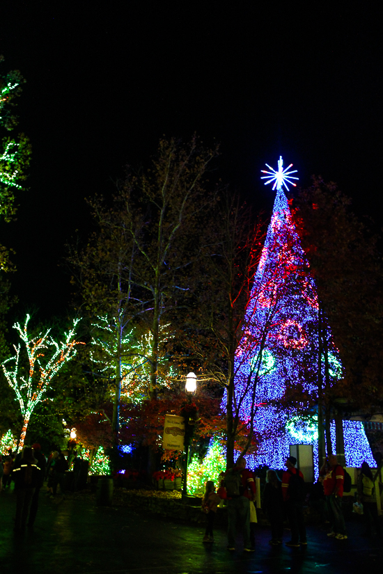 The American Coaster Enthusiasts Coaster Christmas event at Silver Dollar City, Branson, Missouri
