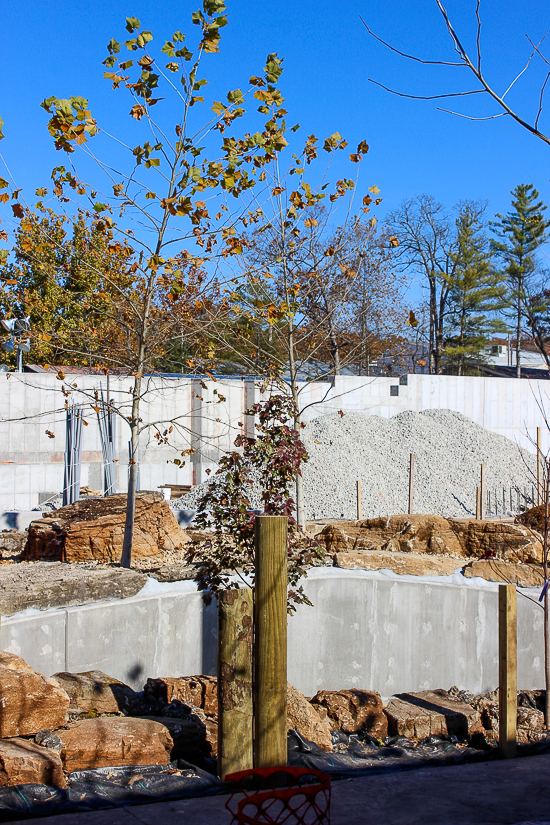 The American Coaster Enthusiasts Coaster Christmas event at Silver Dollar City, Branson, Missouri