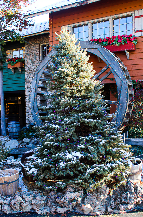The Ameircan Coaster Enthusiasts Coaster Christmas 2022 at Silver Dollar City, Branson, Missouri