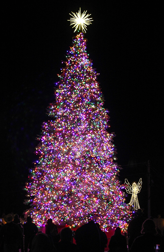 American Coaster Enthusiasts Coaster Christmas 2025 at Silver Dollar City, Branson, Missouriilver Dollar City, Branson, Missouri