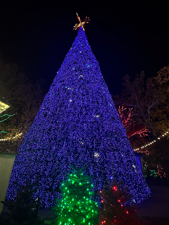 American Coaster Enthusiasts Coaster Christmas 2025 at Silver Dollar City, Branson, Missouri