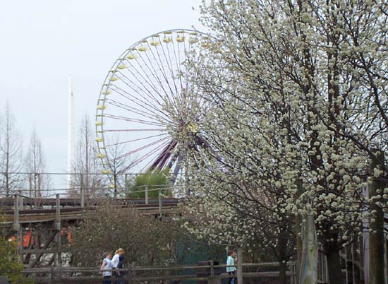 Six Flags Kentucky Kingdom, Louisville, Kentucky