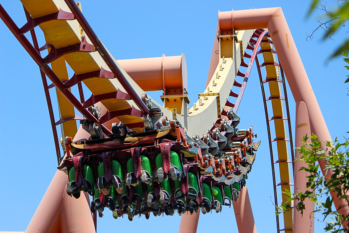 The Tatsu Roller coaster - The American Coaster Enthusiasts Coaster Con 42 at Six Flags Magic Mountain in Valencia, California