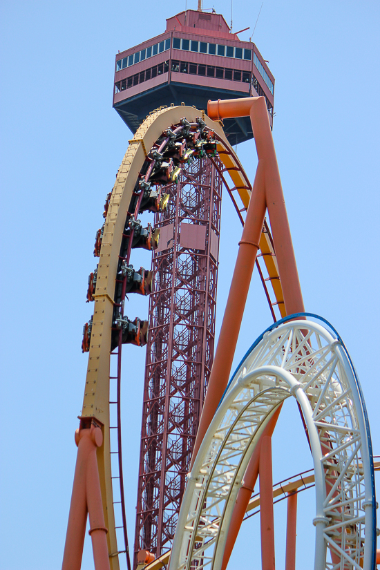 The Tatsu Roller coaster - The American Coaster Enthusiasts Coaster Con 42 at Six Flags Magic Mountain in Valencia, California