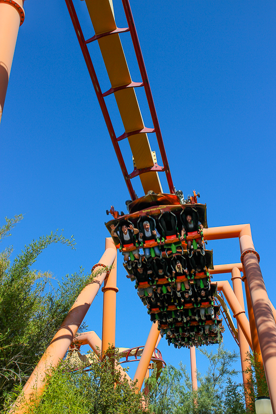 The Tatsu Roller Coaster - American Coaster Enthusiasts Coaster Con 42 at Six Flags Magic Mountain in Valencia, California