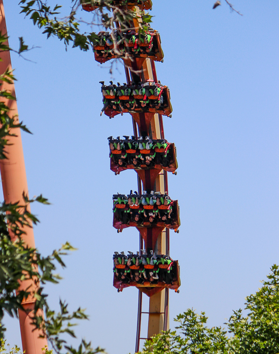The Tatsu Roller Coaster - The American Coaster Enthusiasts Coaster Con 42 at Six Flags Magic Mountain in Valencia, California