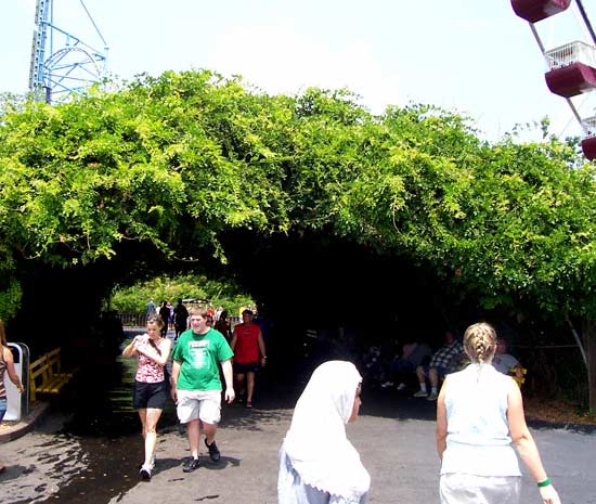 Six Flags St. Louis, Allenton, MO