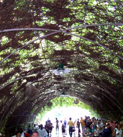 Six Flags St. Louis, Allenton, MO