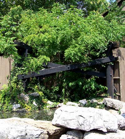 Six Flags St. Louis, Allenton, MO