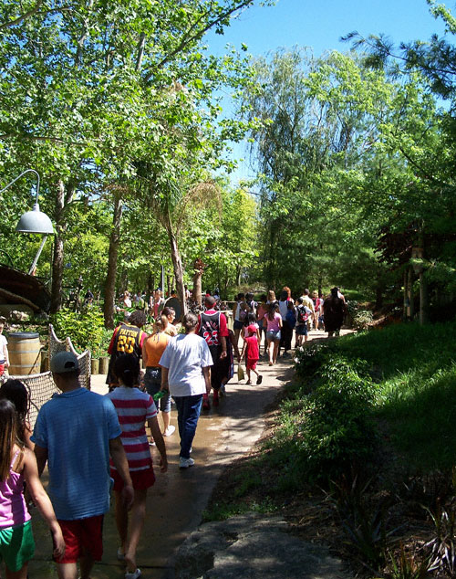 The Hurricane Harbor Waterpark at Six Flags St. Louis, Eureka, Missouri
