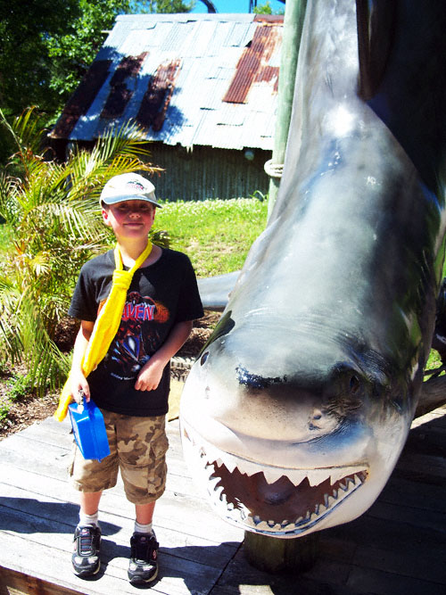 The Hurricane Harbor Waterpark at Six Flags St. Louis, Eureka, Missouri