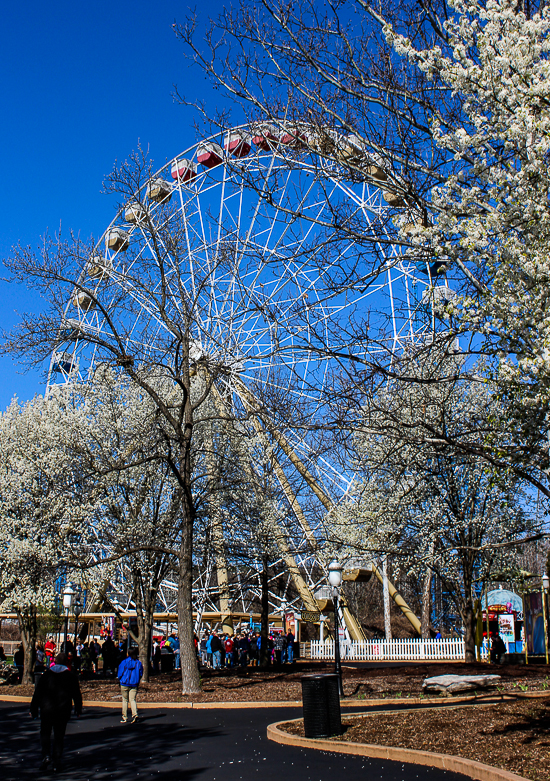 Six Flags St. Louis, Eureka, Missouri
