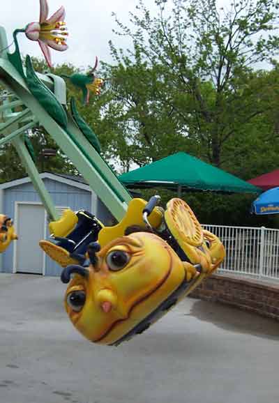 Bees @ Six Flags Worlds of Adventure