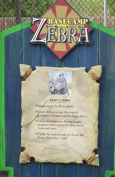 Zebras @ Six Flags Worlds of Adventure