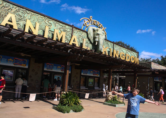 Walt Disney World - Disney's Animal Kingdom, Lake Buena Vista, Florida