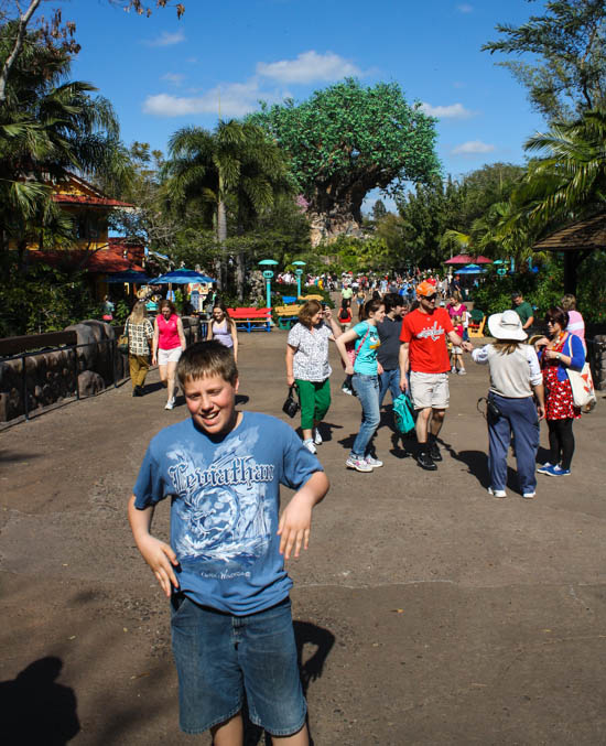 Walt Disney World - Disney's Animal Kingdom, Lake Buena Vista, Florida