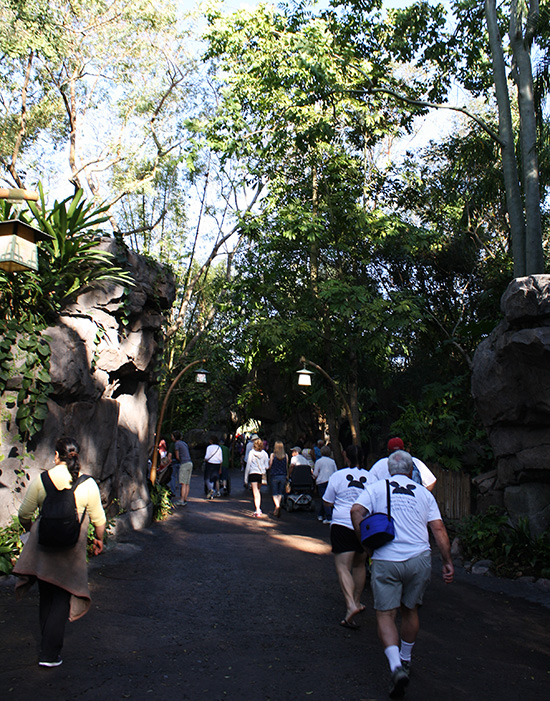 Walt Disney World - Disney's Animal Kingdom, Lake Buena Vista, Florida