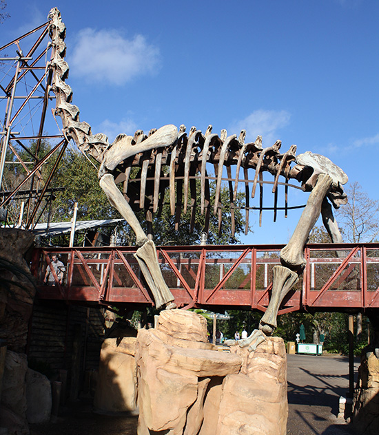 Walt Disney World - Disney's Animal Kingdom, Lake Buena Vista, Florida