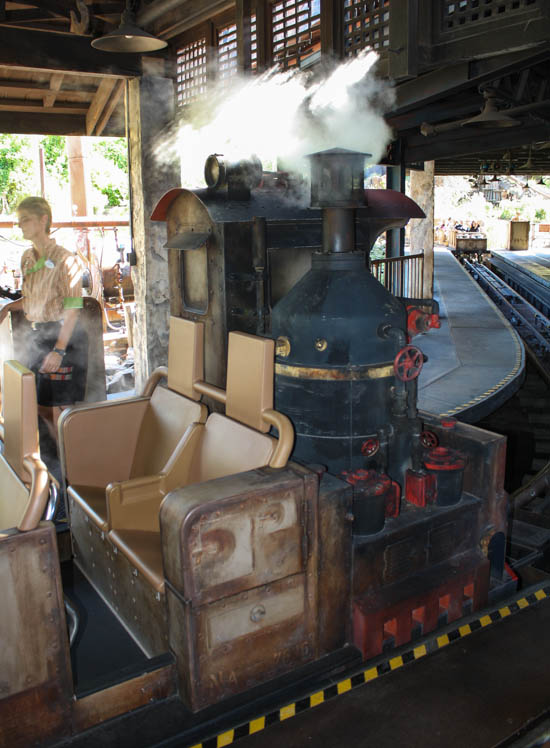 The Expedition Everest Roller Coaster at Walt Disney World - Disney's Animal Kingdom, Lake Buena Vista, Florida