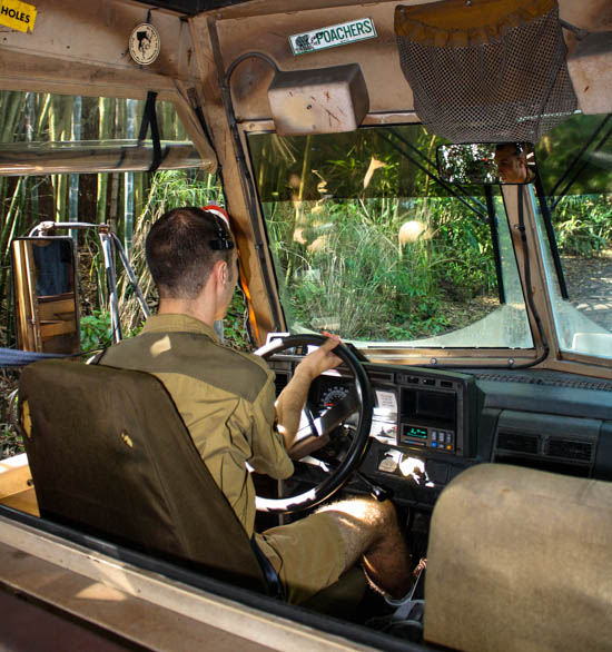 The Kilimanjaro Safaris at Walt Disney World - Disney's Animal Kingdom, Lake Buena Vista, Florida