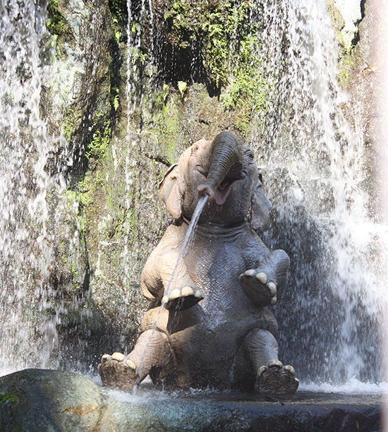 The Jungle Cruise at Walt Disney World The Magic Kingdom, Lake Buena Vista, Florida