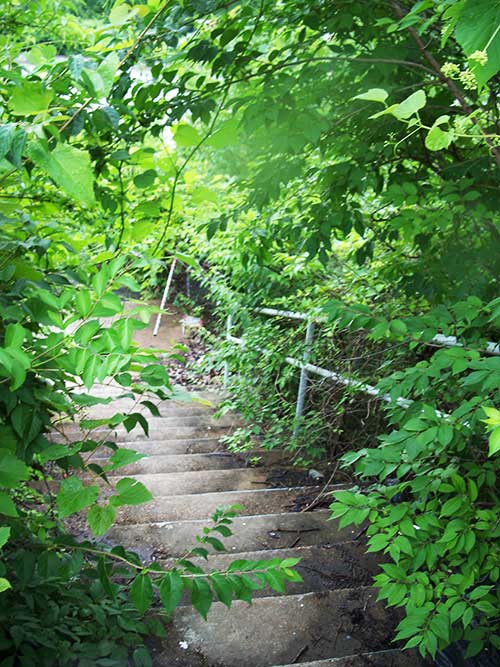 Wet Willys Defunct Waterslide, Fenton, Missouri