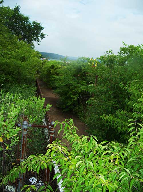 Wet Willys Defunct Waterslide, Fenton, Missouri