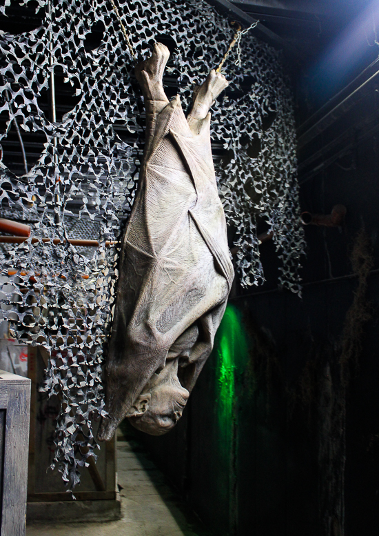 Patriot at ACE Around the World at Worlds of Fun, Kansas City, Missouri